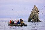 Ecotourists at seabird colony, Bering Sea