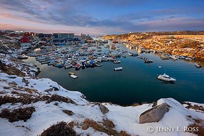 Ilulissat Harbor, West Greenland