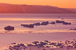 Sunset in Murchison Sund, Baffin Bay, Northwest Greenland