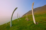 Ritual Whale Bone Site, Cape Dezhnev, Bering Strait