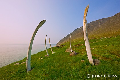 Ritual Whale Bone Site, Cape Dezhnev, Bering Strait