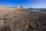 Patterned ground from frost-heaving in polar desert