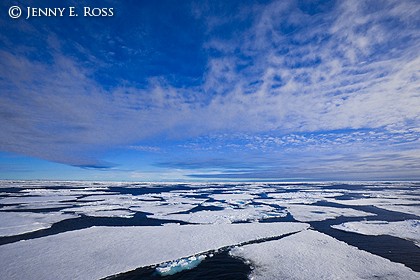 Fractured Summer Sea Ice, Arctic Ocean