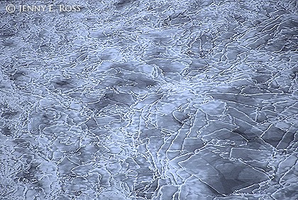 Aerial view of thin and fractured sea ice, Gulf of St. Lawrence