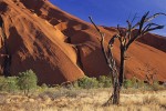 The Foot of Uluru