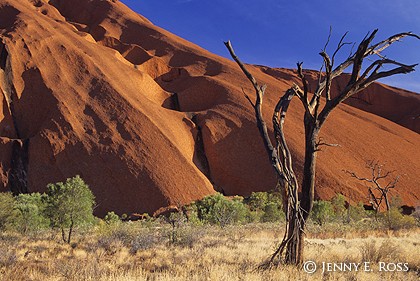 The Foot of Uluru