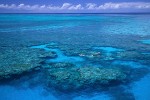 Snorkelers, Great Barrier Reef