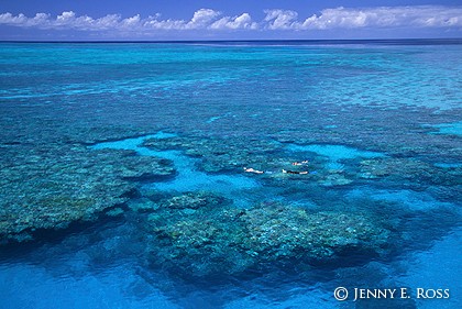 Snorkelers, Great Barrier Reef