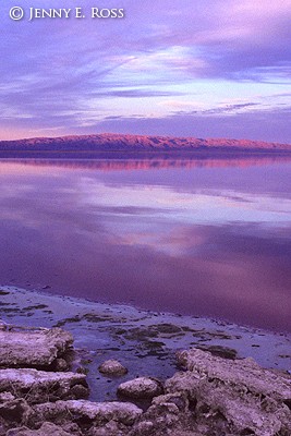 Salton Sea Sunset #1