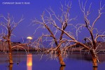 Moonset at Sunrise, Sonny Bono Salton Sea National Wildlife Refuge